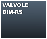 VALVOLE BIM-RS