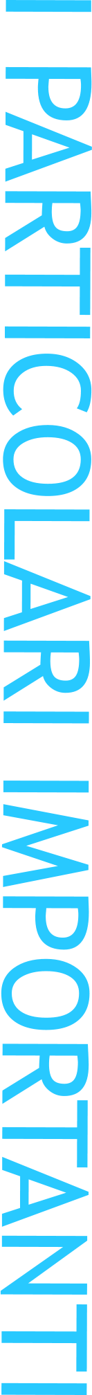 I PARTICOLARI IMPORTANTI